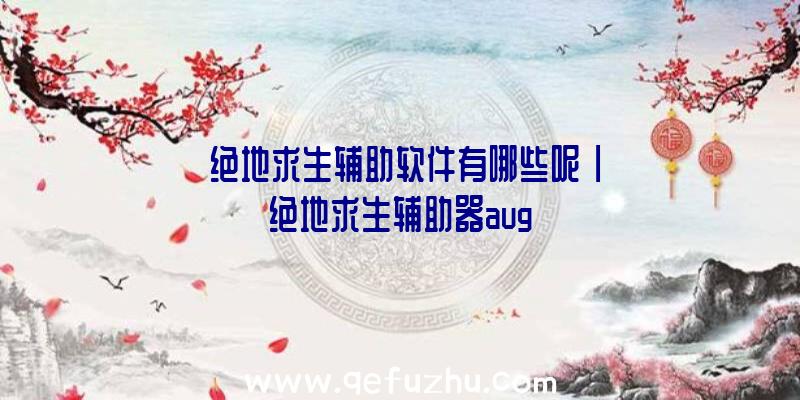 「绝地求生辅助软件有哪些呢」|绝地求生辅助器aug